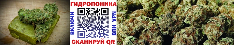 Canna-Cookies конопля  купить наркотики цена  Чадан 
