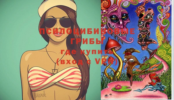 гидропоника Кукмор